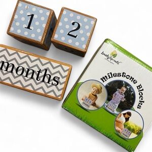 VGUC Infant / Pregnancy / School Milestone Blocks - Years, Months, Weeks, Grade